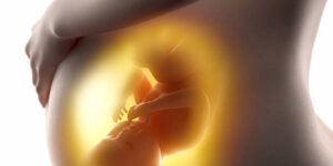 孕婦肚子裏的胎兒