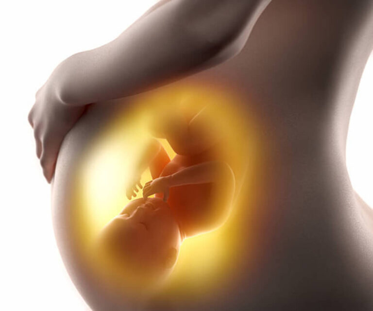 孕婦肚子裏的胎兒